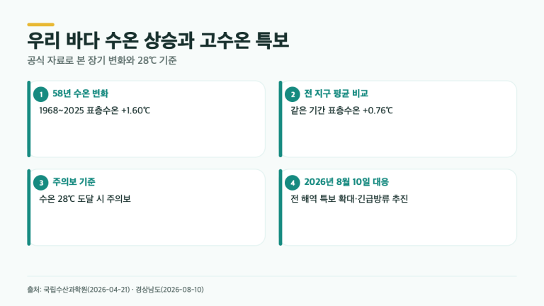우리 바다 수온이 더 빨리 오른 이유…28℃ 고수온 특보가 뜻하는 것