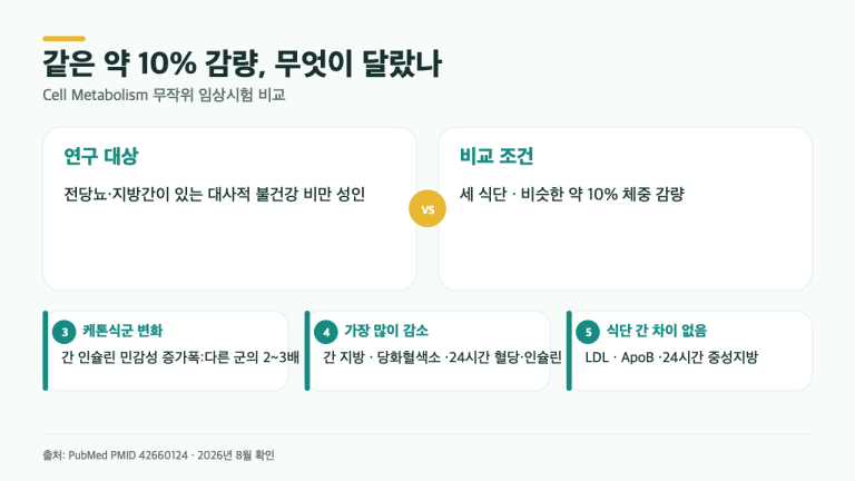 약 10% 똑같이 감량했는데…케톤식이 간 지방·혈당에서 보인 차이